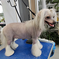 ����� ���������� StarBeauty