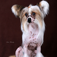 ����� ���������� StarBeauty