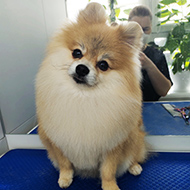 ����� ���������� StarBeauty