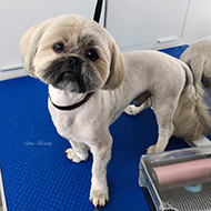 ����� ���������� StarBeauty