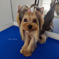 ����� ���������� StarBeauty