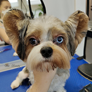 ����� ���������� StarBeauty