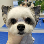 ����� ���������� StarBeauty