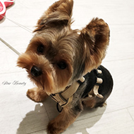 ����� ���������� StarBeauty