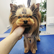 ����� ���������� StarBeauty