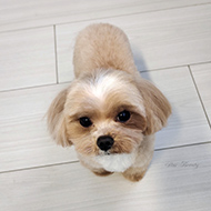 ����� ���������� StarBeauty