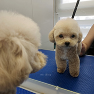 ����� ���������� StarBeauty