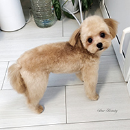 ����� ���������� StarBeauty