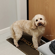 ����� ���������� StarBeauty