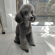 ����� ���������� StarBeauty