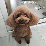 ����� ���������� StarBeauty