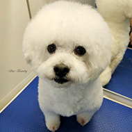 ����� ���������� StarBeauty