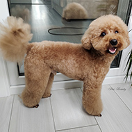 ����� ���������� StarBeauty